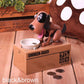Cute Puppy Dog Save Money Coin Box
