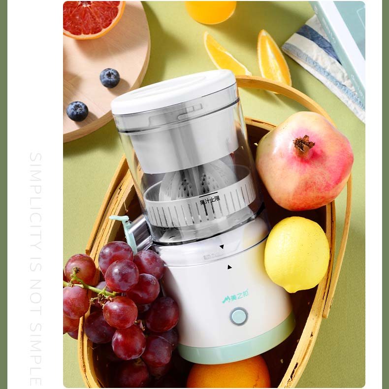 Portable Fruit Juicer – smarthome999