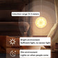 Wireless Sensor LED Night Light Closet Light 2PCS